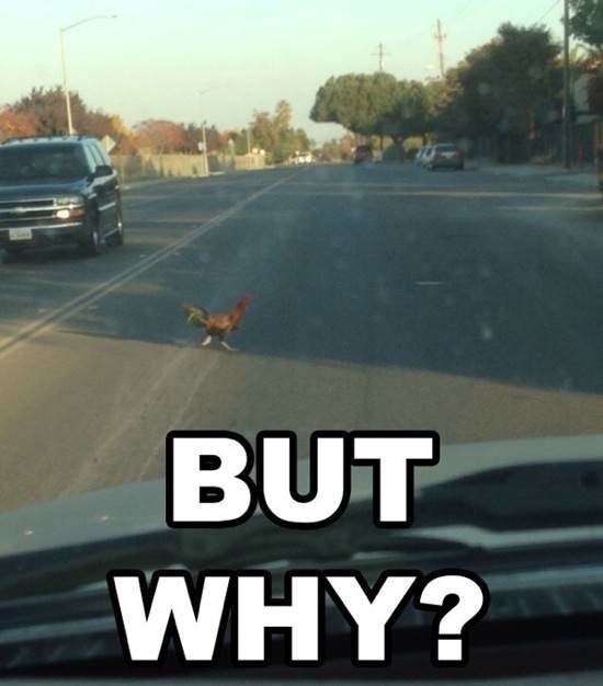 Bildschirmarbeiter - Picdump 26.09.2014