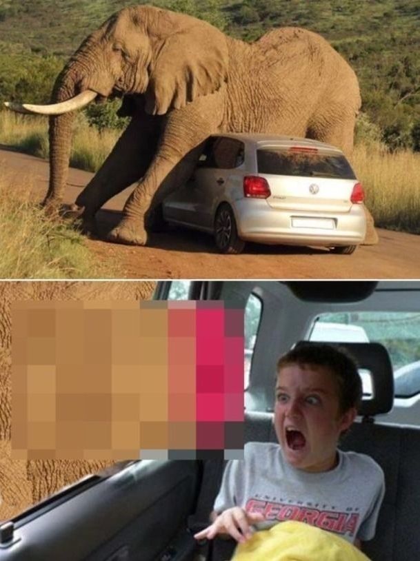 Bildschirmarbeiter - Picdump 26.09.2014