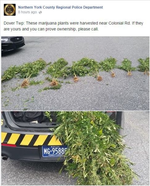 Bildschirmarbeiter - Picdump 26.09.2014