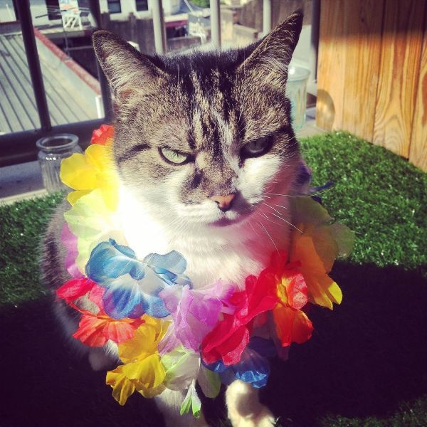 Bildschirmarbeiter - Picdump 26.09.2014