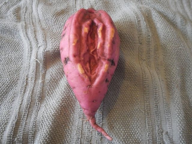 Bildschirmarbeiter - Picdump 26.09.2014