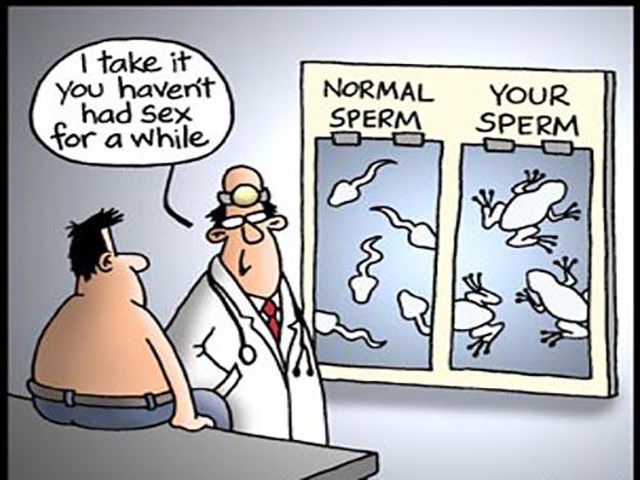 Bildschirmarbeiter - Picdump 26.09.2014