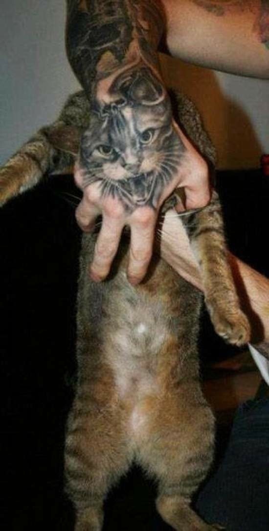 Bildschirmarbeiter - Picdump 26.09.2014