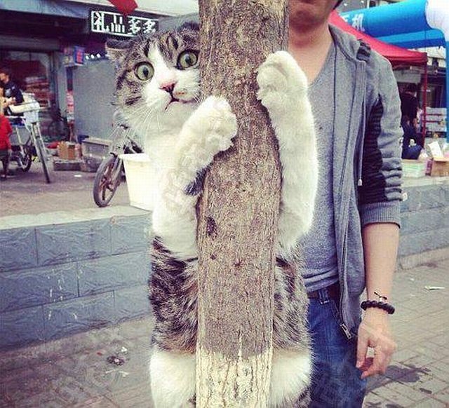 Bildschirmarbeiter - Picdump 26.09.2014