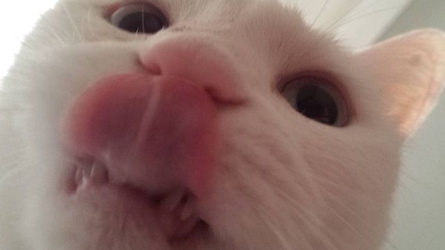 Bildschirmarbeiter - Picdump 03.10.2014