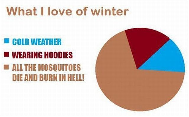 Bildschirmarbeiter - Picdump 03.10.2014