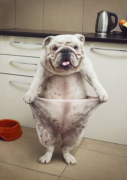 Bildschirmarbeiter - Picdump 03.10.2014