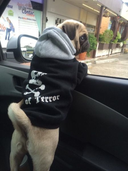 Bildschirmarbeiter - Picdump 03.10.2014