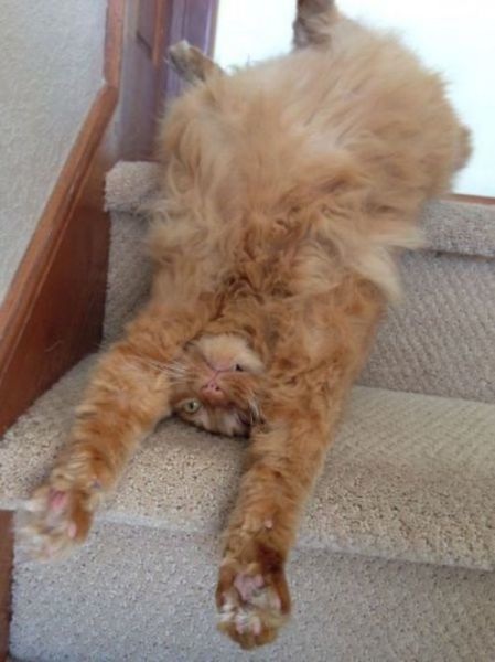 Bildschirmarbeiter - Picdump 03.10.2014