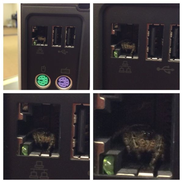 Bildschirmarbeiter - Picdump 03.10.2014