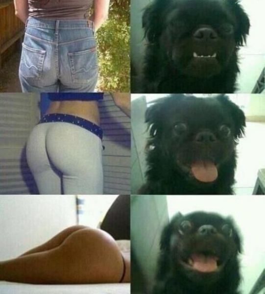 Bildschirmarbeiter - Picdump 03.10.2014