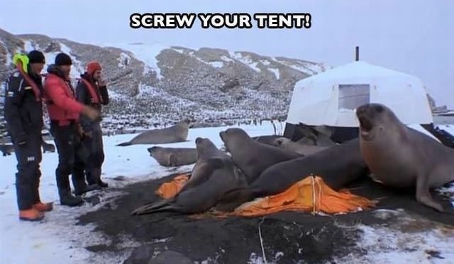 Bildschirmarbeiter - Picdump 03.10.2014