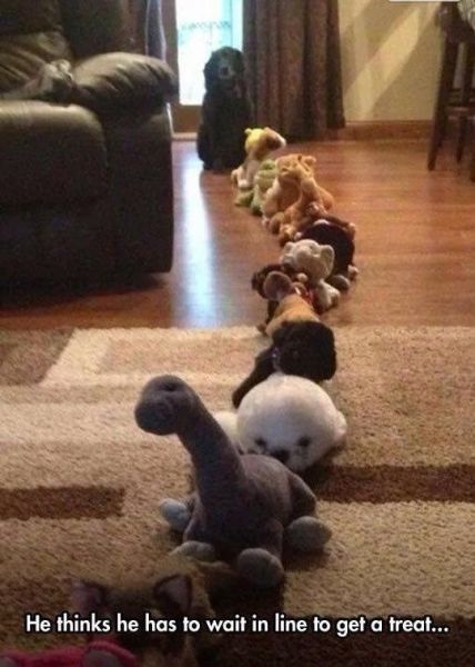 Bildschirmarbeiter - Picdump 03.10.2014