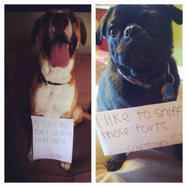 Bildschirmarbeiter - Picdump 03.10.2014