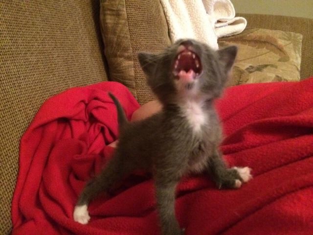 Bildschirmarbeiter - Picdump 03.10.2014