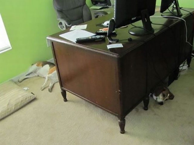 Bildschirmarbeiter - Picdump 03.10.2014