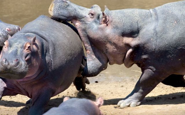 Bildschirmarbeiter - Picdump 03.10.2014