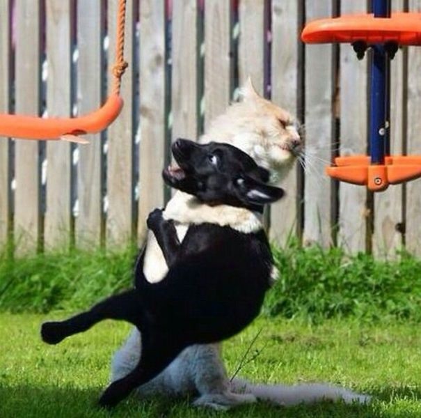 Bildschirmarbeiter - Picdump 03.10.2014