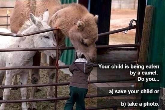 Bildschirmarbeiter - Picdump 03.10.2014