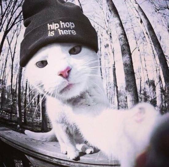 Bildschirmarbeiter - Picdump 03.10.2014