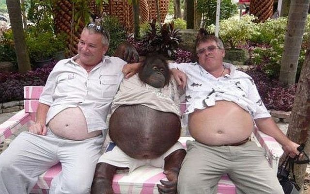 Bildschirmarbeiter - Picdump 03.10.2014