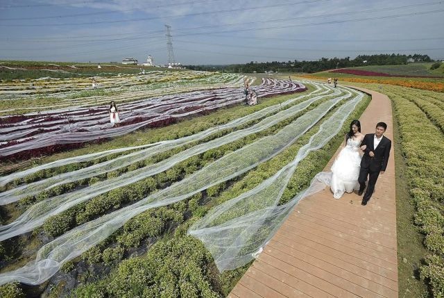 Bildschirmarbeiter - Picdump 03.10.2014