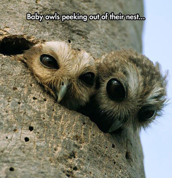 Bildschirmarbeiter - Picdump 03.10.2014