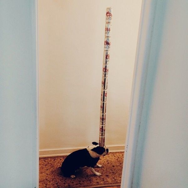 Bildschirmarbeiter - Picdump 10.10.2014