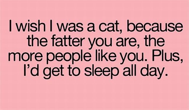 Bildschirmarbeiter - Picdump 10.10.2014