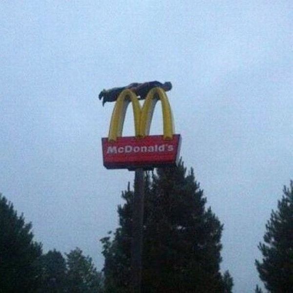 Bildschirmarbeiter - Picdump 10.10.2014