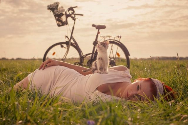 Bildschirmarbeiter - Picdump 10.10.2014