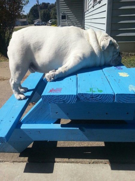 Bildschirmarbeiter - Picdump 10.10.2014