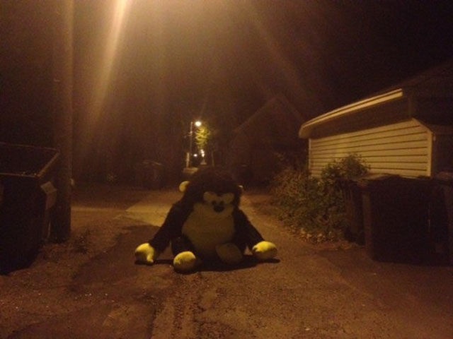 Bildschirmarbeiter - Picdump 10.10.2014