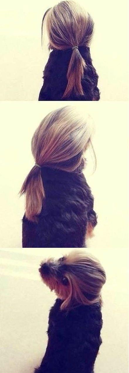 Bildschirmarbeiter - Picdump 10.10.2014