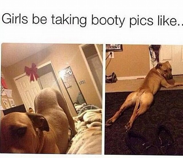 Bildschirmarbeiter - Picdump 10.10.2014