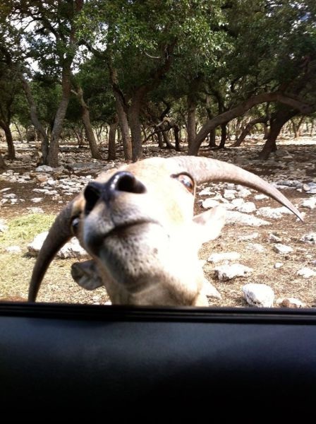 Bildschirmarbeiter - Picdump 10.10.2014