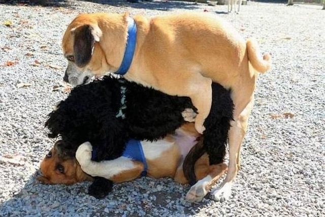 Bildschirmarbeiter - Picdump 10.10.2014