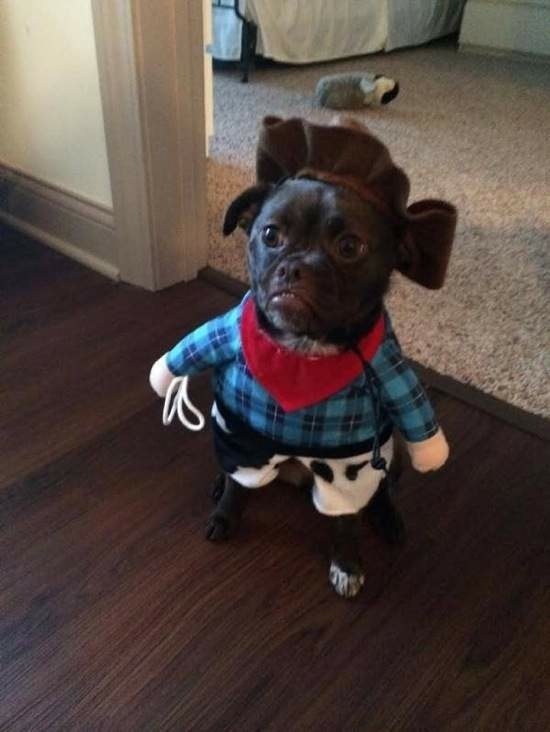 Bildschirmarbeiter - Picdump 10.10.2014