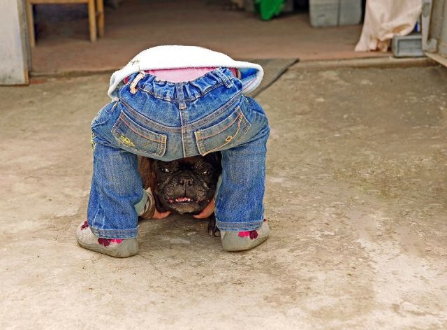 Bildschirmarbeiter - Picdump 10.10.2014