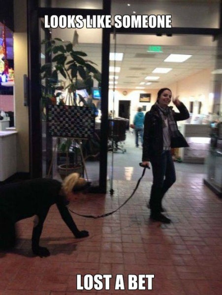 Bildschirmarbeiter - Picdump 10.10.2014