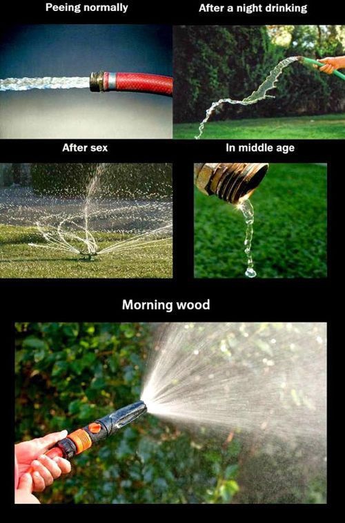 Bildschirmarbeiter - Picdump 10.10.2014