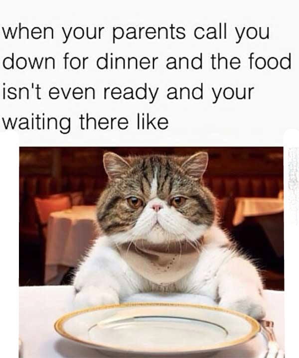 Bildschirmarbeiter - Picdump 10.10.2014