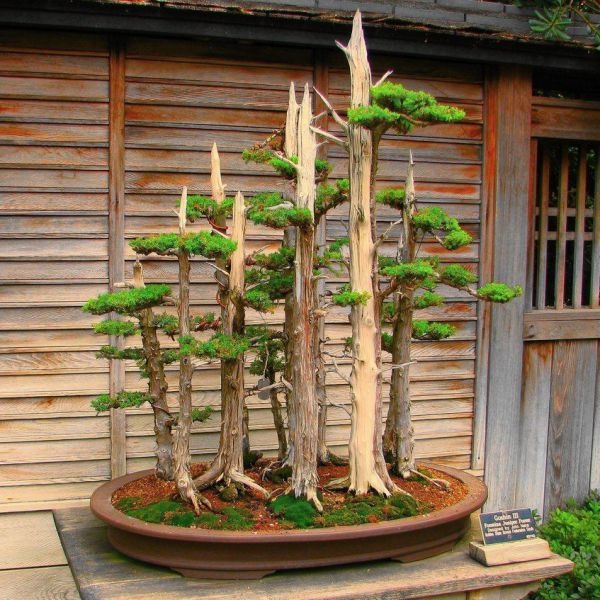 Bildschirmarbeiter - Picdump 10.10.2014