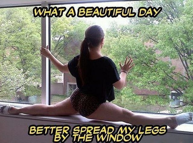 Bildschirmarbeiter - Picdump 10.10.2014