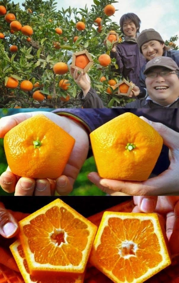 Bildschirmarbeiter - Picdump 10.10.2014