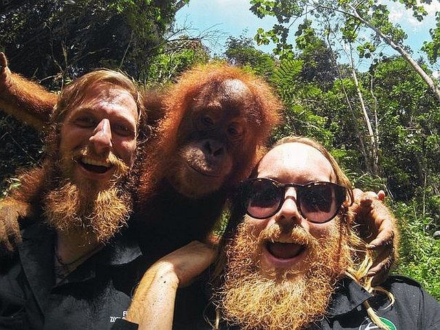 Bildschirmarbeiter - Picdump 10.10.2014