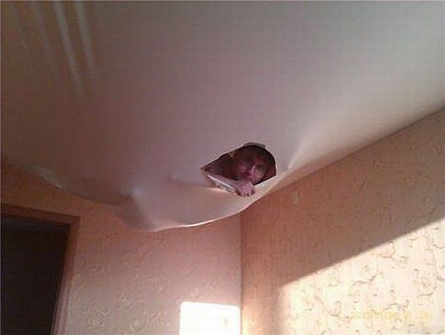 Bildschirmarbeiter - Picdump 24.10.2014