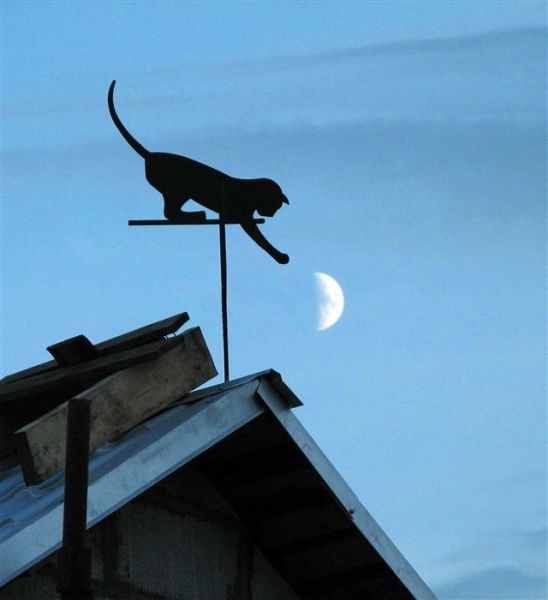 Bildschirmarbeiter - Picdump 24.10.2014