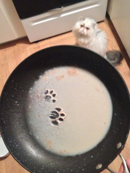 Bildschirmarbeiter - Picdump 24.10.2014