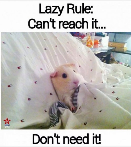 Bildschirmarbeiter - Picdump 24.10.2014